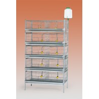 Exhibition Battery with 2 Baskets for Birds