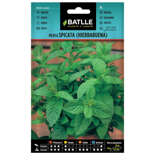 Spearmint Seeds Packet