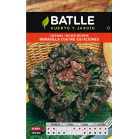 Four Seasons Lettuce Seeds