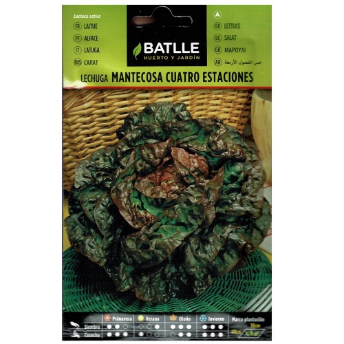 Lechuga 4 Estaciones Sobre
