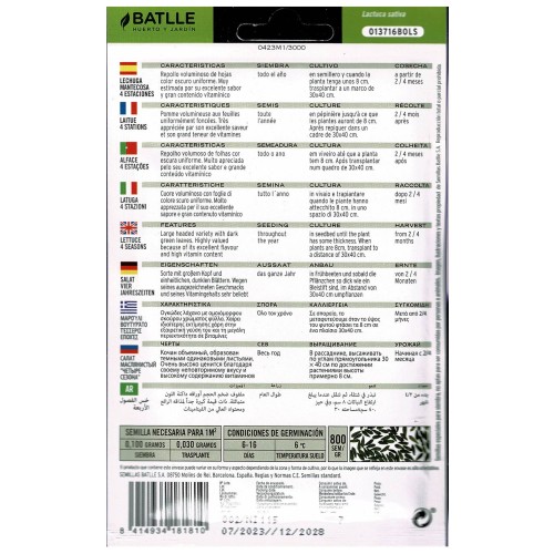 Four Seasons Lettuce Seeds