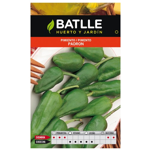 Padrón Peppers Seed Pack