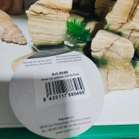 Rock Decoration with Plant 23x12x17cm