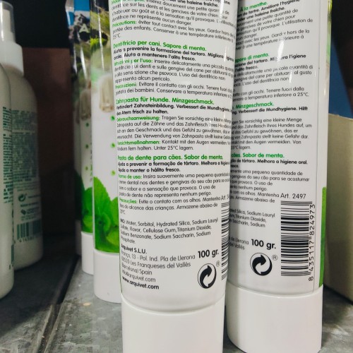 Dog Toothpaste 100 Gr Mint