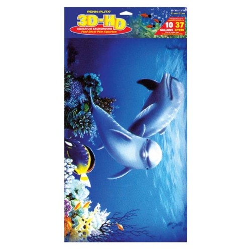 3D Dolphin Poster Unique Design