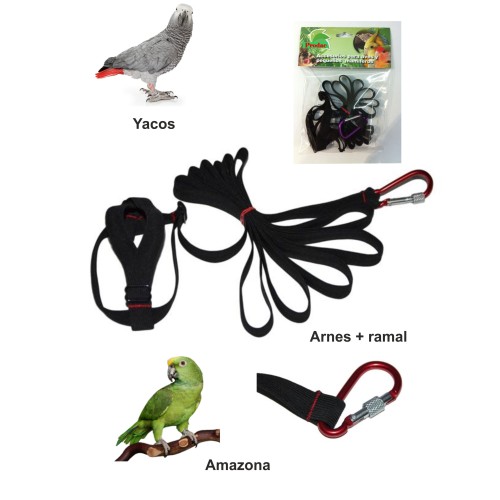 Arnés para Yacos y Amazonas