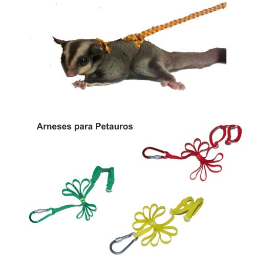 Arnés para Petauros (Surtido de Colores)