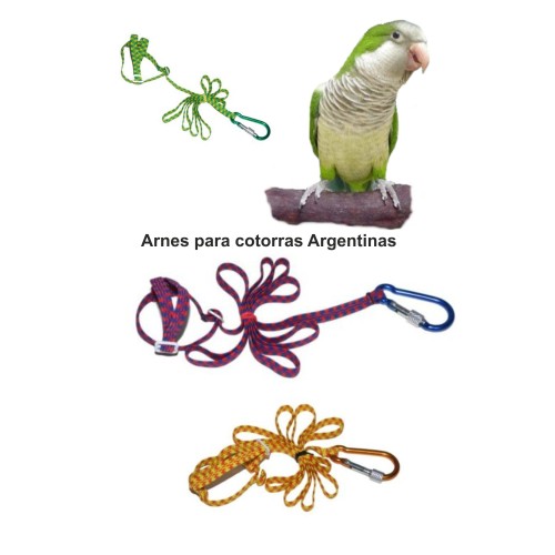 Harness for Argentine Parrots in Varied Colors