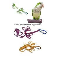 Harness for Argentine Parrots in Varied Colors