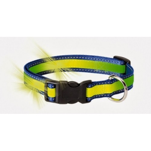 Collar Perro Fosforescente y Reflectante Seguridad
