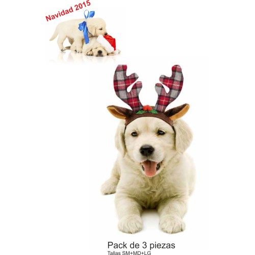 Reindeer Antler Pack for Healthy Chewing