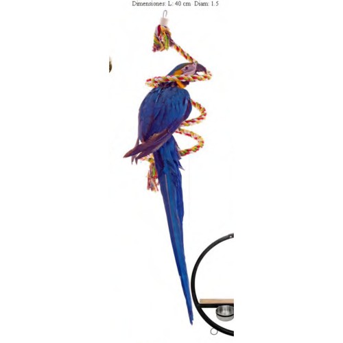 Sun Parrots Cotton Spiral Medium