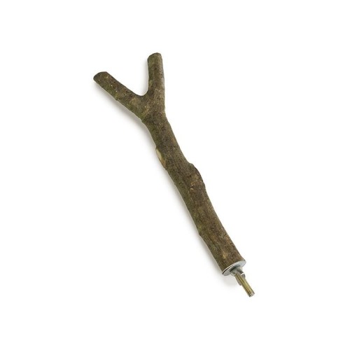 Y-Shaped Wooden Perch for Birds