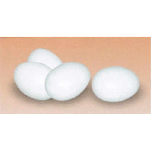 Plastic Chicken Eggs for Training