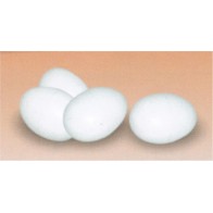 Plastic Chicken Eggs for Training