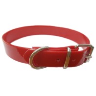 Collar Biothane Bandera Española 40 Cm Duradero y Estiloso