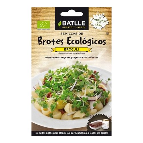 Brotes Ecológicos de Brócoli para Cultivar en Casa