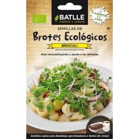 Brotes Ecológicos de Brócoli para Cultivar en Casa