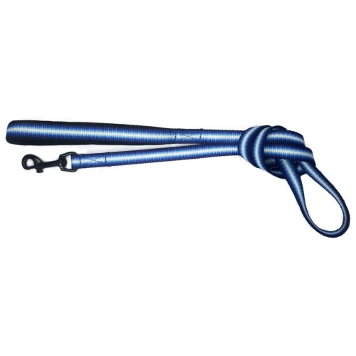 Electric Neoprene Leash 15x1200mm Blue