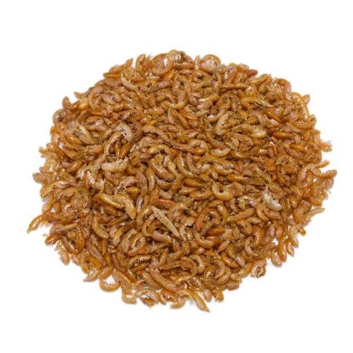 Gammarus para Tortugas Acuáticas 30g