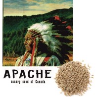 Alpiste Canada Apache 1 Kg.