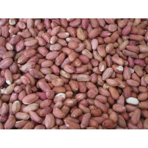 Cacahuetes Pelados 500g para Mascotas