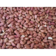 Cacahuetes Pelados 500g para Mascotas