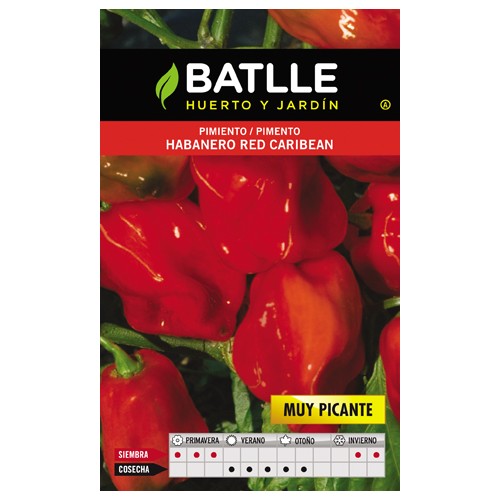 Habanero Red Caribbean Spicy Chili Pepper