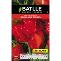 Habanero Red Caribbean Spicy Chili Pepper