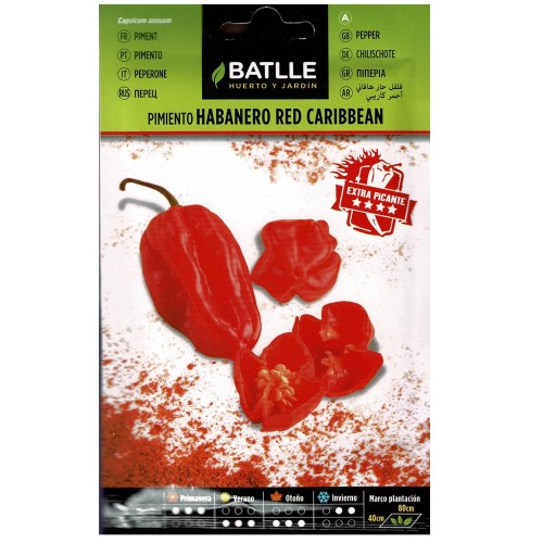 Habanero Red Caribbean Spicy Chili Pepper