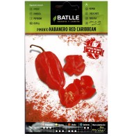 Habanero Red Caribbean Spicy Chili Pepper