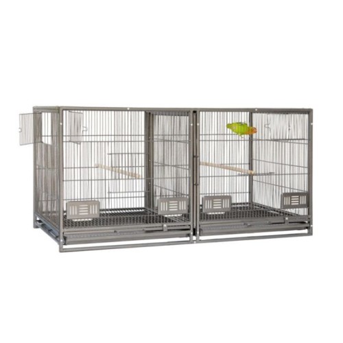 Sun Parrots Breeding Module 100x50x50 cm for Exhibitions