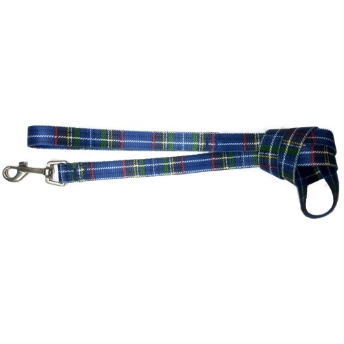 Scottish Blue Nylon Lead 20x1200
