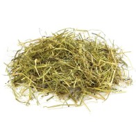 Hay for Vegetarian Rodents