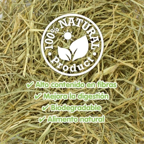 Hay for Vegetarian Rodents