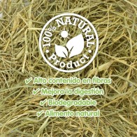 Hay for Vegetarian Rodents