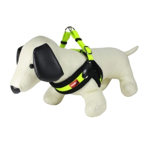 Arnes Dog Vest S. Azul