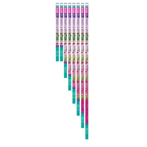 Tubo Arcadia Daylight 14 W