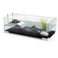 Turtle Tank 60 Plus