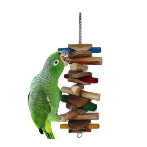 Tornado Swing for Medium Parrots - Fun and Durable