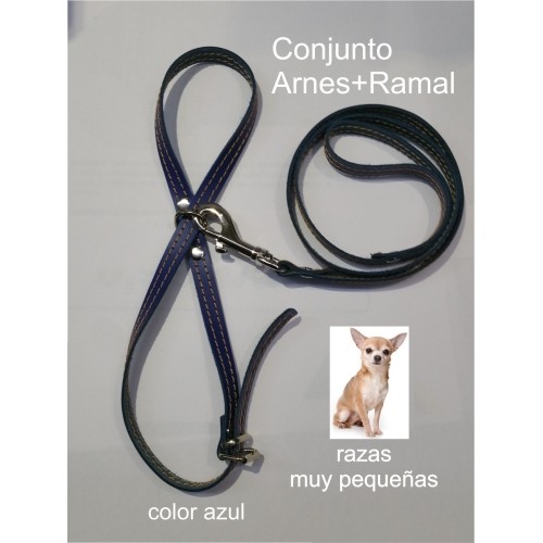Leather Harness and Leash for Small Breeds