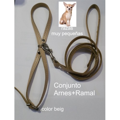 Leather Harness and Leash for Small Breeds