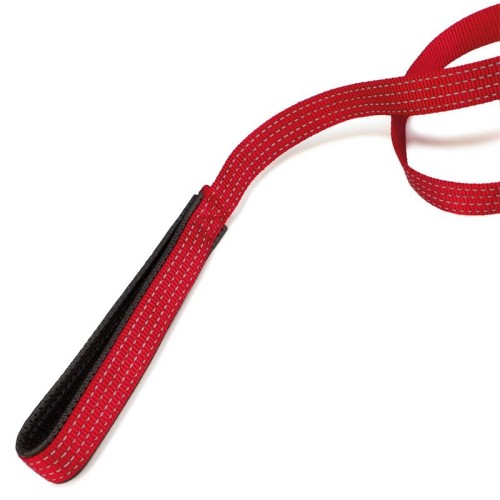 Correa de Nylon Morada para Perros