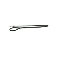 Correa Nylon Basic Roja 20mm para Perros