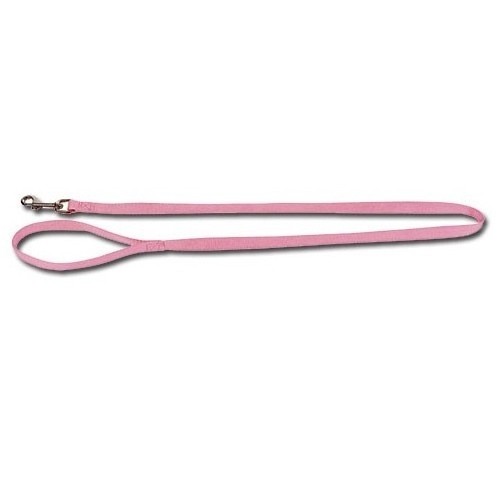 Correa Nylon Basic Roja 20mm para Perros
