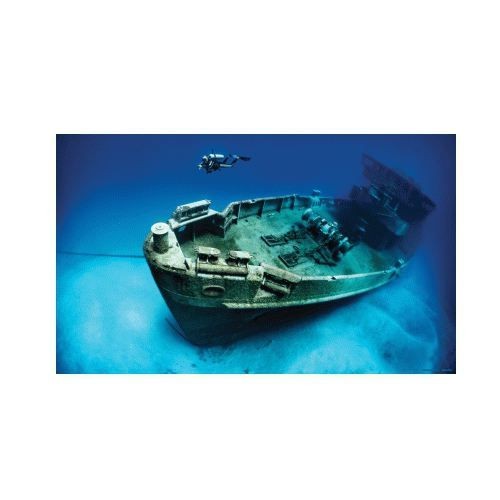 Vinyl Poster for Aquarium 61x40cm