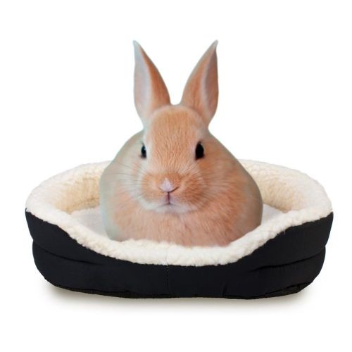 Cuna Para Conejos para Descanso Cómodo