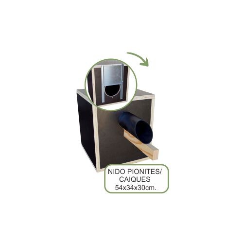 Nido de Madera para Pionites y Caiques