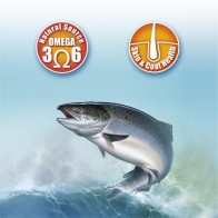 Aceite De Salmon 250ml Arquivet