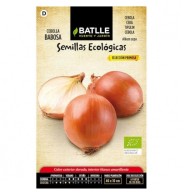 Cebolla Babosa Ecológicas Jardinería Orgánica